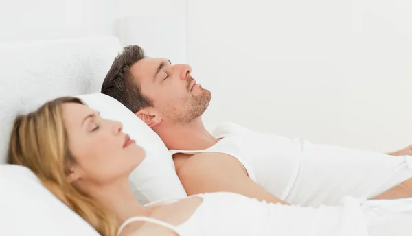 Calm pairs sleeping together — Stock Photo, Image