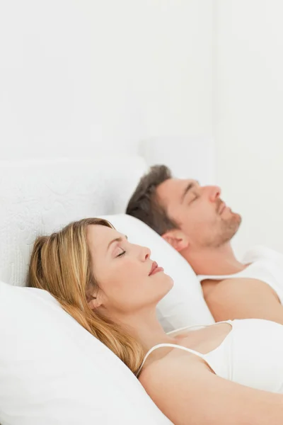 Calm pairs sleeping together — Stock Photo, Image