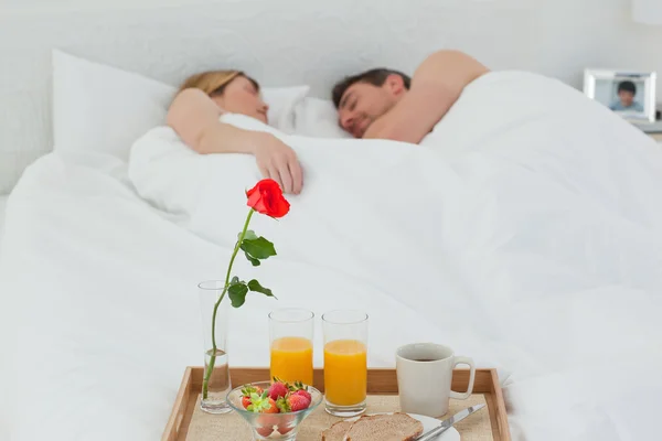 Älskare sova efter att ha frukost — Stockfoto
