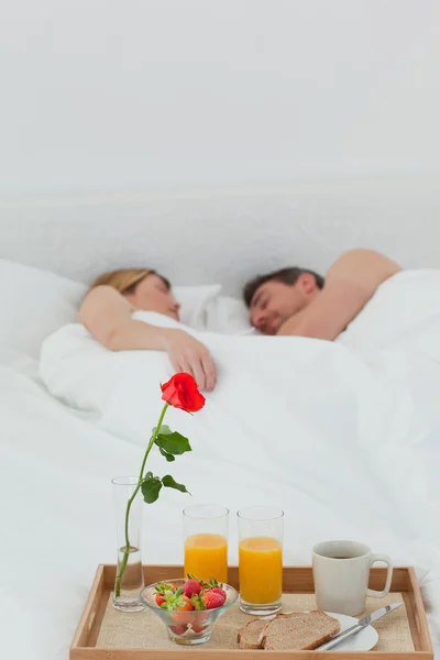 Älskare sova efter att ha frukost — Stockfoto