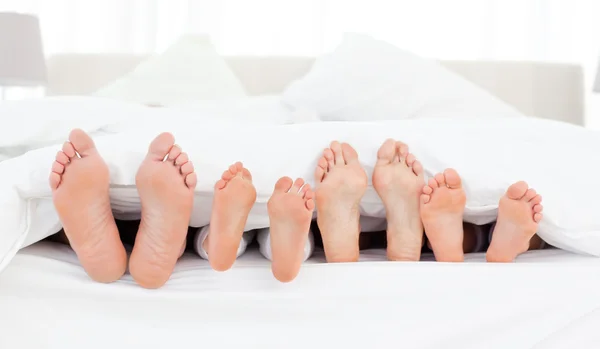 Los pies de la familia en la cama — Foto de Stock