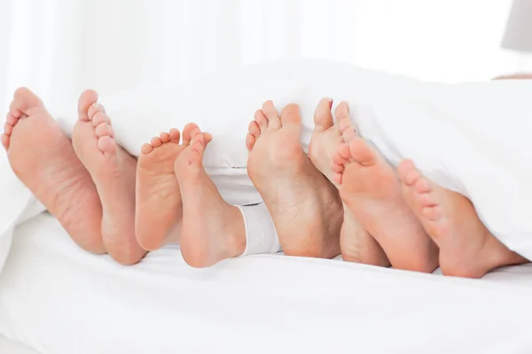 Familjens fötter i sängen — Stockfoto