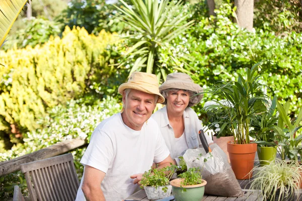 Äldre par sitter i deras trädgård — Stockfoto