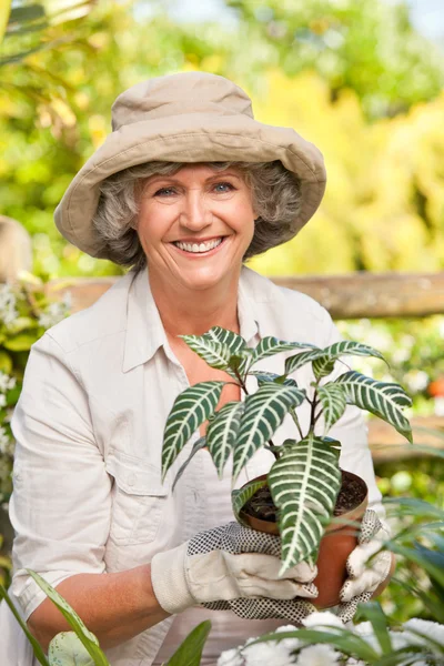 Smiling woman in her garden — Stock Photo, Image