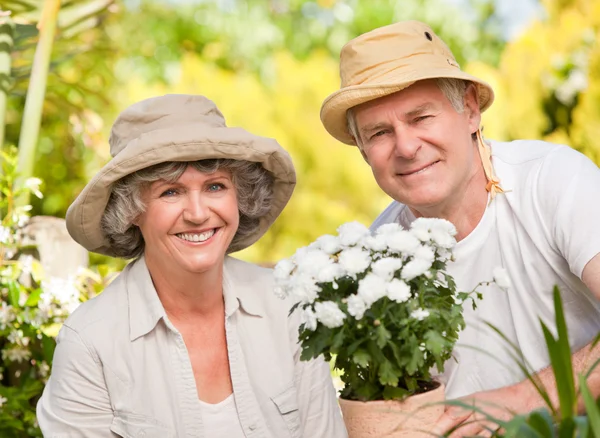Seniorenpaar blickt im Garten in die Kamera — Stockfoto