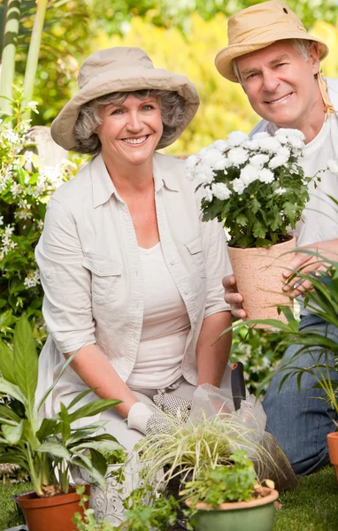Senior couple looking at the camera in the garden — Stock Photo, Image