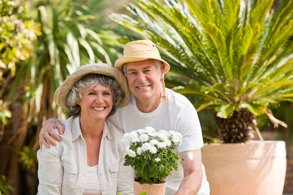 Seniorenpaar blickt im Garten in die Kamera — Stockfoto