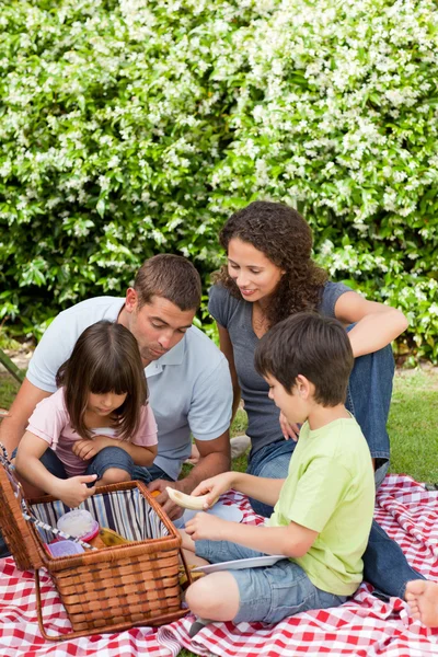 Familj picknick i trädgården — Stockfoto