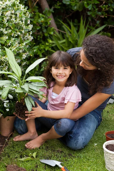 Mother and daughter working in the garden — Stock Photo, Image