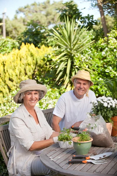 Äldre par sitter i deras trädgård — Stockfoto