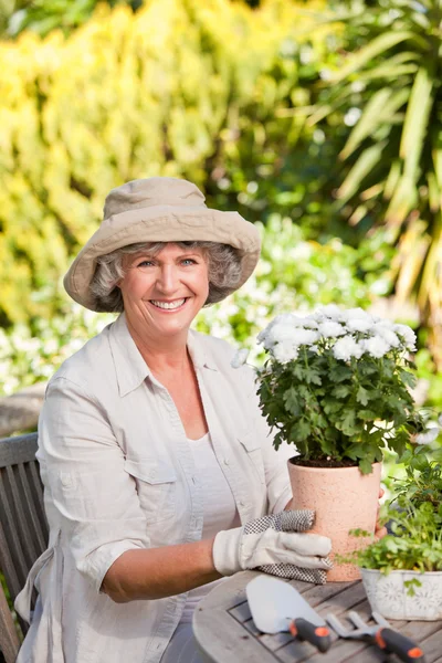 年配の女性で彼女の庭の花 — ストック写真