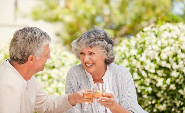 Glückliches Seniorenpaar trinkt Wein und prostet sich zu — Stockfoto