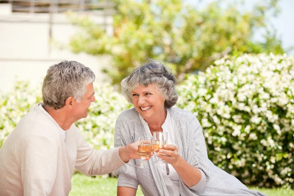 Feliz pareja de ancianos bebiendo vino y brindando entre sí —  Fotos de Stock