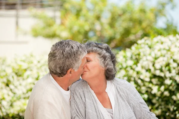 Мужчина целует жену в саду — стоковое фото