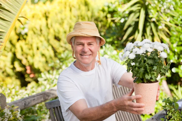 Senior man met bloemen in zijn tuin — Stockfoto