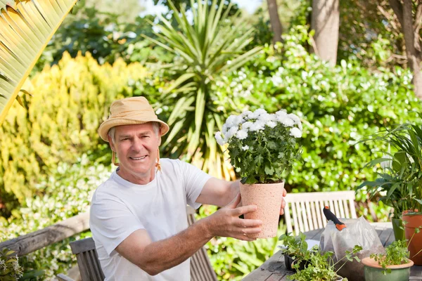 Старший мужчина с цветами в саду — стоковое фото
