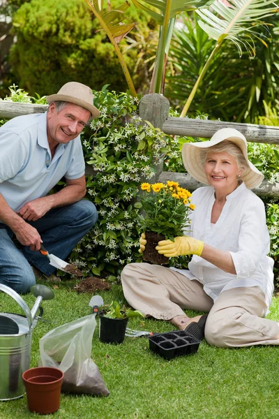 Mature couple working in the garden — Stock Photo, Image