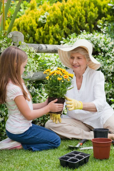 Nonna con la nipote che lavora in giardino — Foto Stock