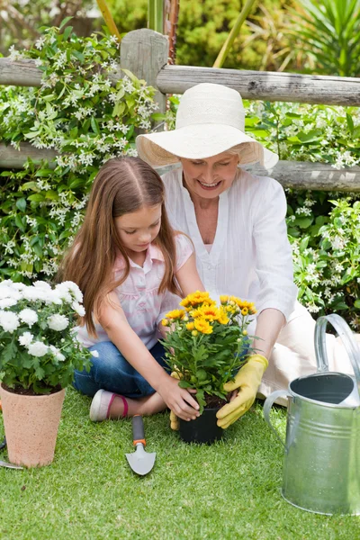 Büyükannesi ve torunu bahçede çalışıyor. — Stok fotoğraf