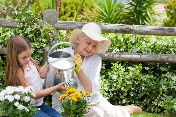 Grandmother with her granddaughter working in the garden — Stock Photo, Image
