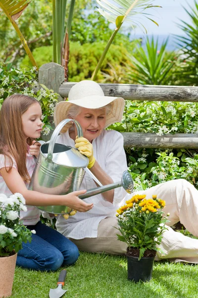 Avó com sua neta trabalhando no jardim — Fotografia de Stock