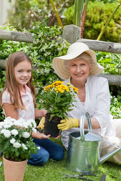 Grand-mère avec sa petite-fille travaillant dans le jardin — Photo