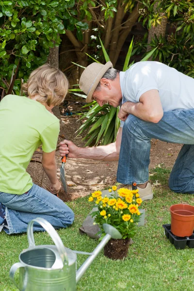 Abuelo con su nieto trabajando en el jardín —  Fotos de Stock
