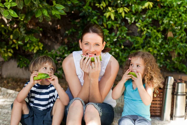 Happy family picnicking in the garden — Stock Photo, Image