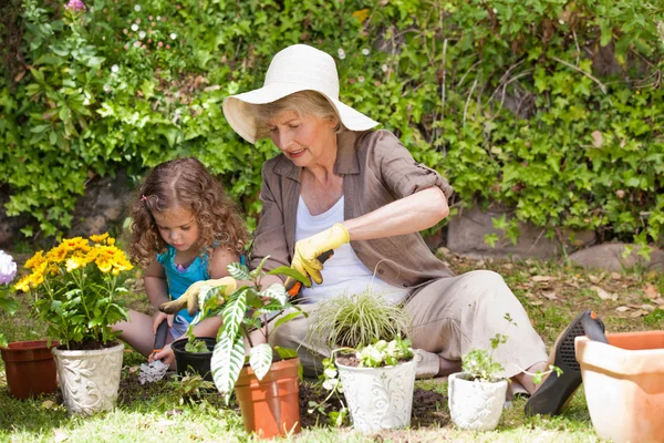 Счастливая бабушка с внучкой, работающей в саду — стоковое фото