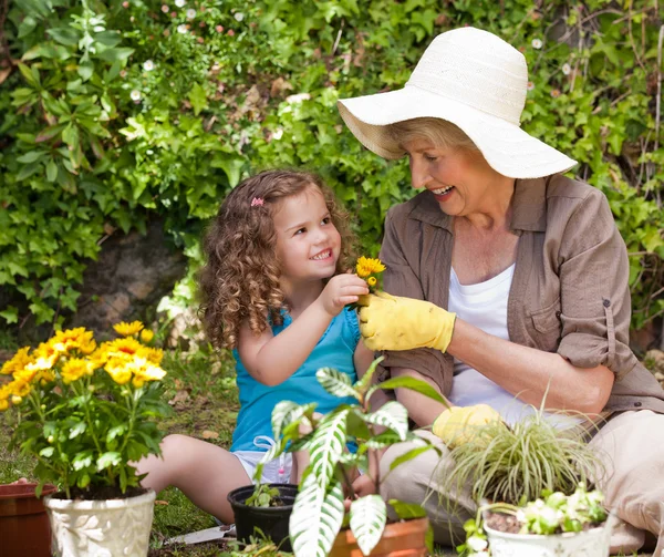 Gelukkig grootmoeder met haar kleindochter werken in de tuin — Stockfoto
