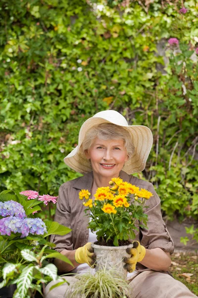Пенсионерка, работающая в саду — стоковое фото