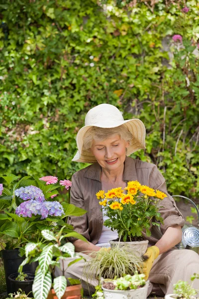 Gepensioneerde vrouw die werkt in de tuin — Stockfoto