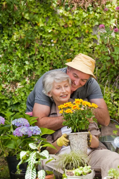 Старшая пара, работающая в саду — стоковое фото