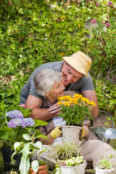 Coppia anziana che lavora in giardino — Foto Stock