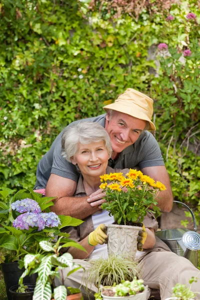 在花园里干活的老夫妇 — 图库照片