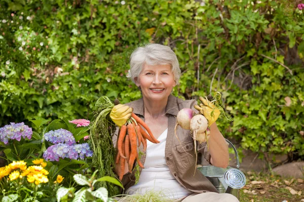 Femme retraitée travaillant dans le jardin — Photo