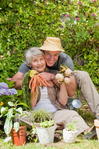 Mann umarmt seine Frau im Garten — Stockfoto