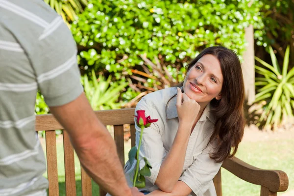 男子将一朵玫瑰提供给他的妻子 — 图库照片