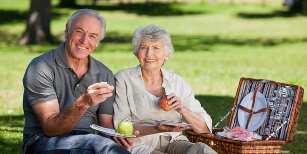 Rentnerpaar picknickt im Garten — Stockfoto