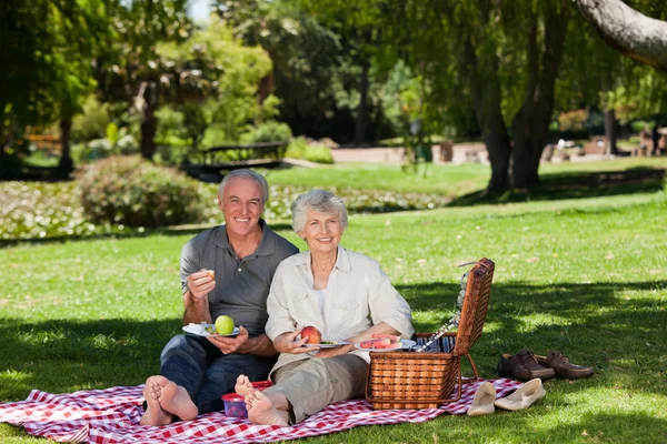 Gepensioneerde paar picknicken in de tuin — Stockfoto