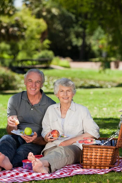 Pensionerat par picknick i trädgården — Stockfoto