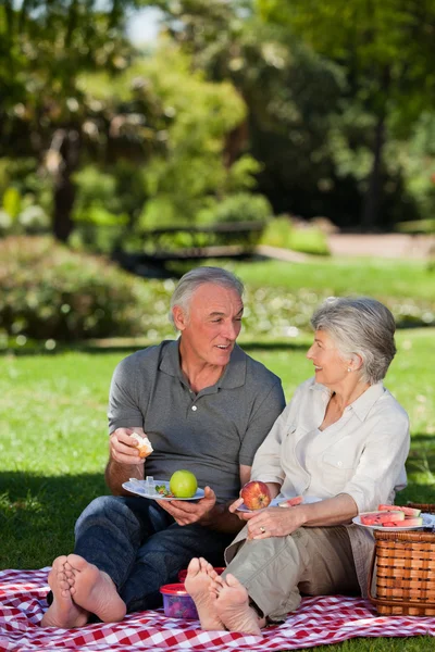Älteres Ehepaar picknickt im Garten — Stockfoto