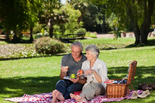 Bejaarde echtpaar picknicken in de tuin — Stockfoto