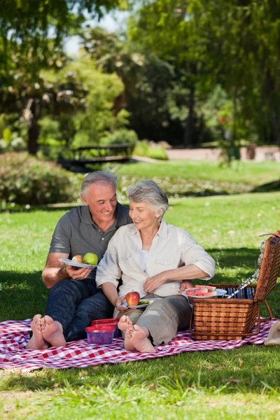 Bejaarde echtpaar picknicken in de tuin — Stockfoto