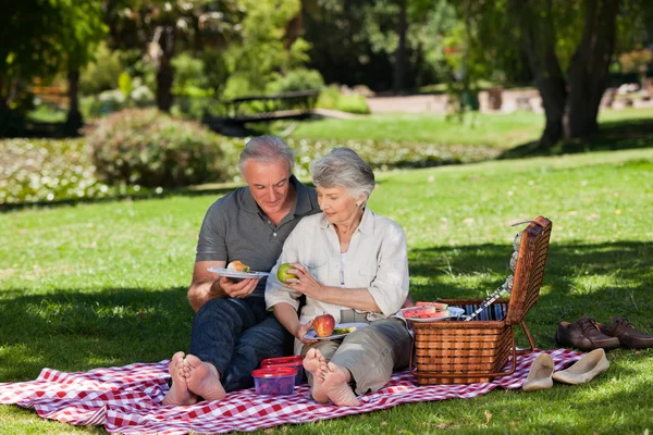 Yaşlı çift Bahçe piknik — Stok fotoğraf