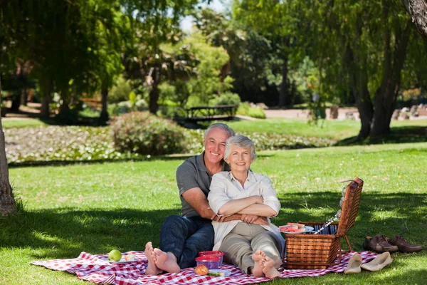 在花园里野餐的老年夫妇 — 图库照片