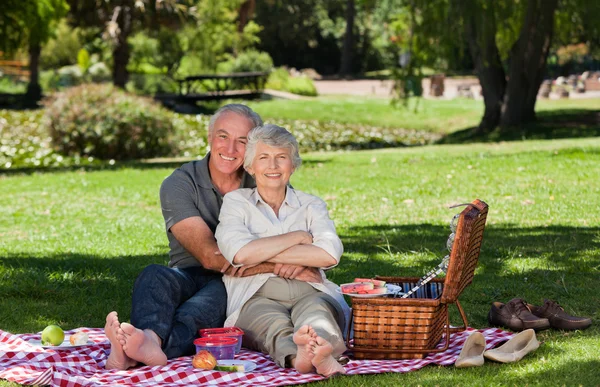 Äldre par picknick i trädgården — Stockfoto