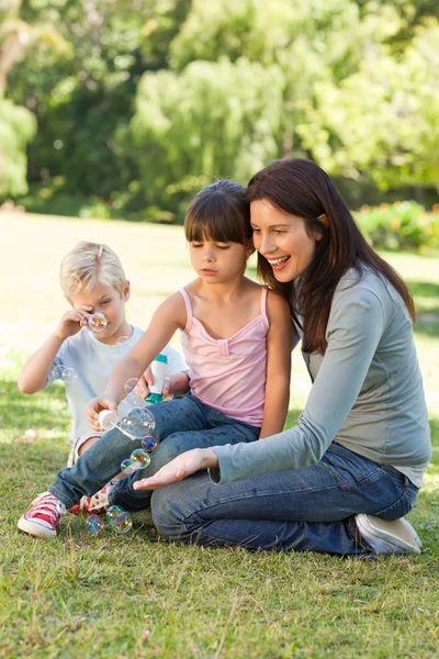 Family blowing bubbles in the park — Stock Photo, Image