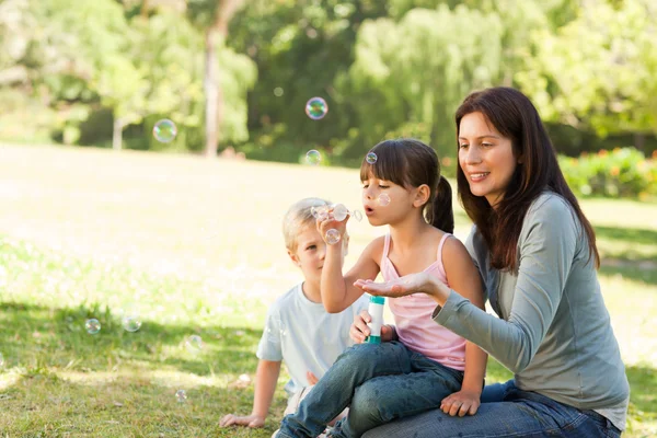 Familj blåser bubblor i parken — Stockfoto