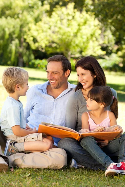 Семья смотрит в фотоальбом в парке — стоковое фото